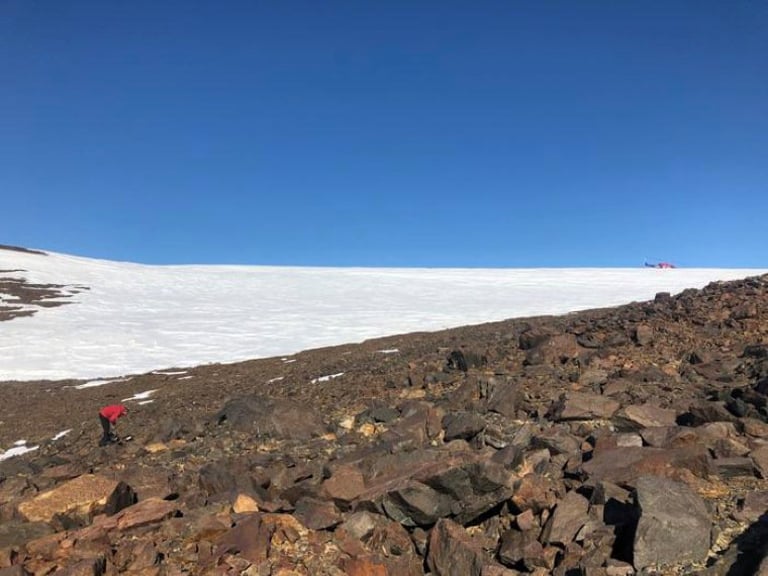 Antarctica's Unique Microbial Life at Risk from Human Activity, Study Shows