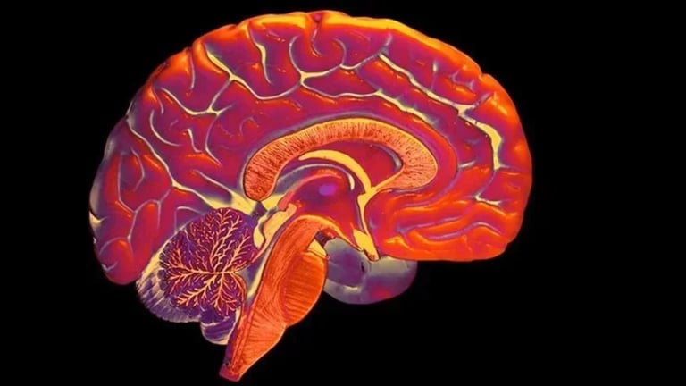 Study Reveals Deaf Individuals Have Enhanced Peripheral Vision as Compensatory Mechanism