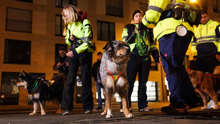 Intensive Search Underway in Frankfurt for Missing 8-Year-Old Noah, New Clues Emerge