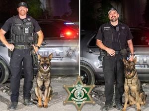 Washington's First Fentanyl-Detecting K9 Units Deployed to Combat Opioid Crisis