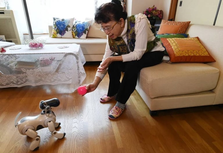 Japan's AI Companions for Elderly: A Solution or a Band-Aid for Caregiver Shortages?