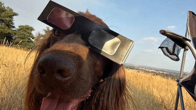 Eclipse Enthusiasts Warned: Eye Safety Crucial Amidst Spectacular Solar Display Across Europe