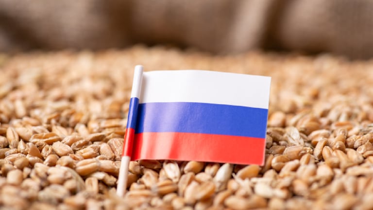 Ukrainian Strikes Disrupt Russian Black Sea Export Routes, Threatening Grain and Oil Flows