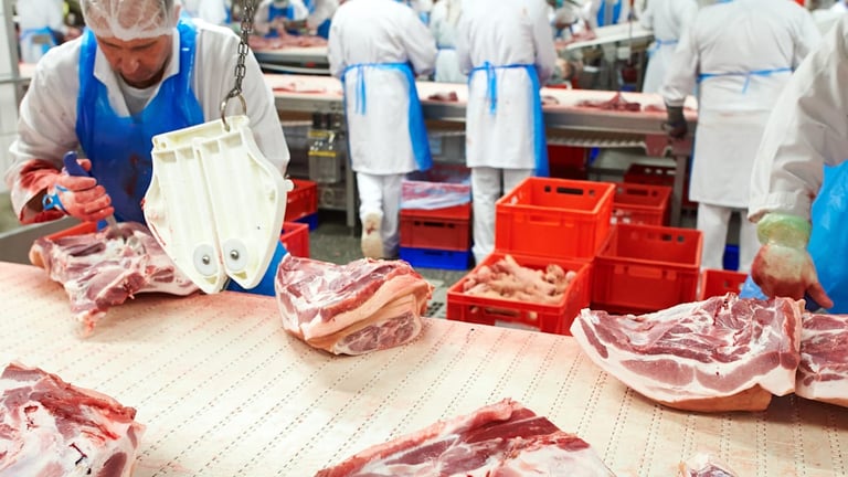 PFG Fights Cartel Office Ruling to Acquire Vion's Beef Sites, Cites Market Competition Concerns