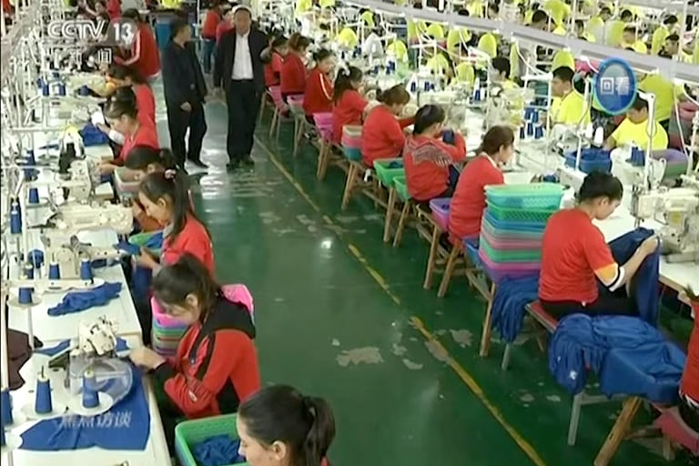 UK Urged to Ban Forced Labour Imports Amid Criticism of Modern Slavery Act's Weaknesses