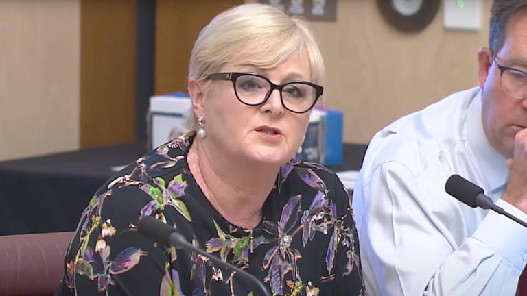Reynolds Demands Apology in Heated Senate Clash Over Higgins Scandal Fallout