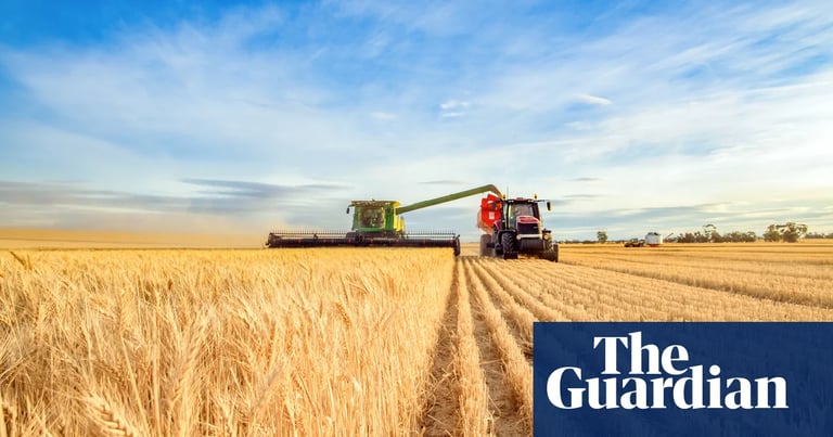 Microplastics Threaten Global Food Security: Study Warns of Severe Impact on Photosynthesis and Crop Yields