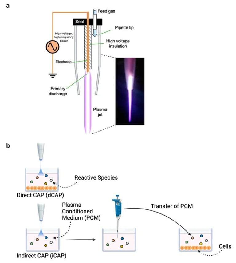 Breakthrough Study: Cold Atmospheric Plasma Shows Promise in Treating NF1-Associated Tumors and Enhancing Drug Delivery