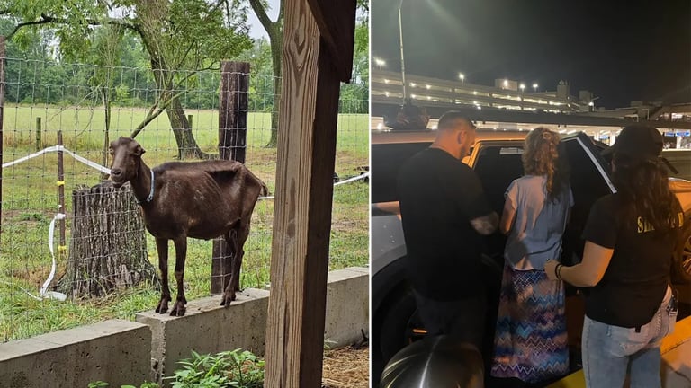 Woman Extradited from Belize to Face 100+ Animal Cruelty Charges in Bucks County's Largest Case