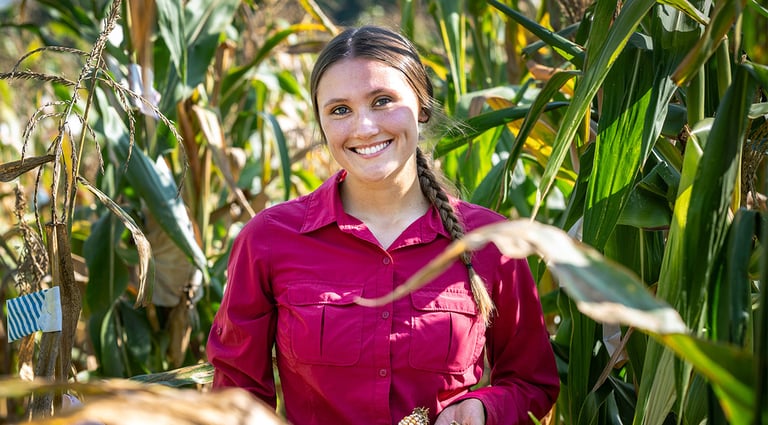 USDA-Funded Research at NC State Explores Heirloom Corn's Genetic Potential for Resilient Crops
