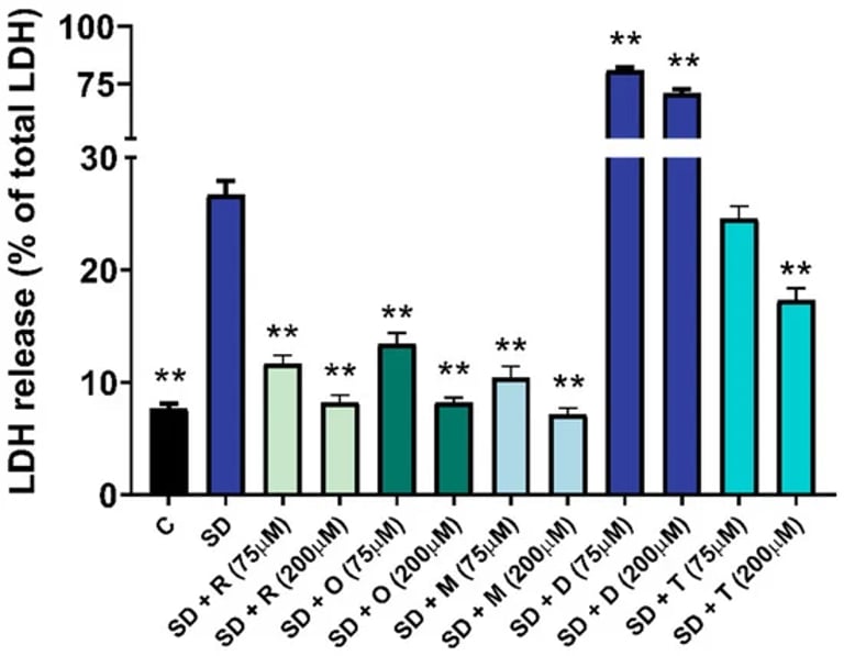 Resveratrol Derivatives Show Promising Heart Health Benefits and Cytoprotective Effects in New Study