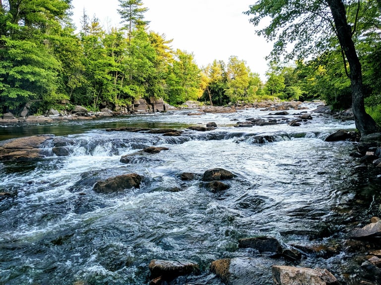 AI and Daphnia Uncover Hidden Chemical Threats in Beijing's Chaobai River