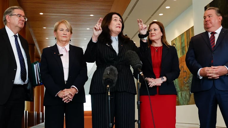 Senator O'Neill Exposes KPMG Misconduct, Sparks Cross-Party Push for Big Four Reforms