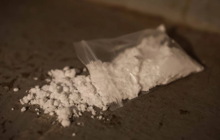 France Seizes Record 109 Tonnes of Drugs Amid Rising Illicit Trade, Urgent Call for Customs Overhaul