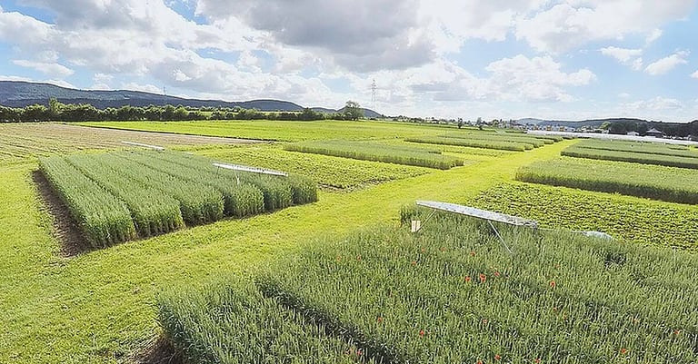 EU Proposal to Relax Farming Regulations Sparks Environmental Concerns and Calls for German Opposition
