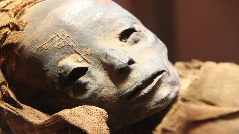 Ancient Egyptian Mummy Reveals First Direct Evidence of Bubonic Plague in North Africa