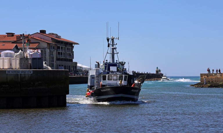 France to Ban Bottom Trawling in Protected Areas, Aims for Major Marine Conservation Boost