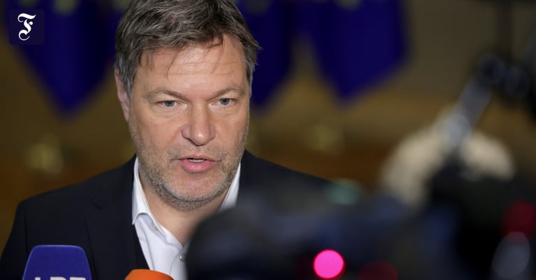 German Vice Chancellor Criticizes Delayed Arms to Ukraine, Urges 'Taurus' Missile Delivery Amid Peace Talks