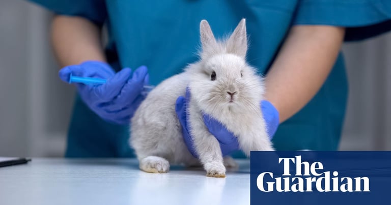 UK Regulator Probes Vet Sector Over Overcharging Concerns