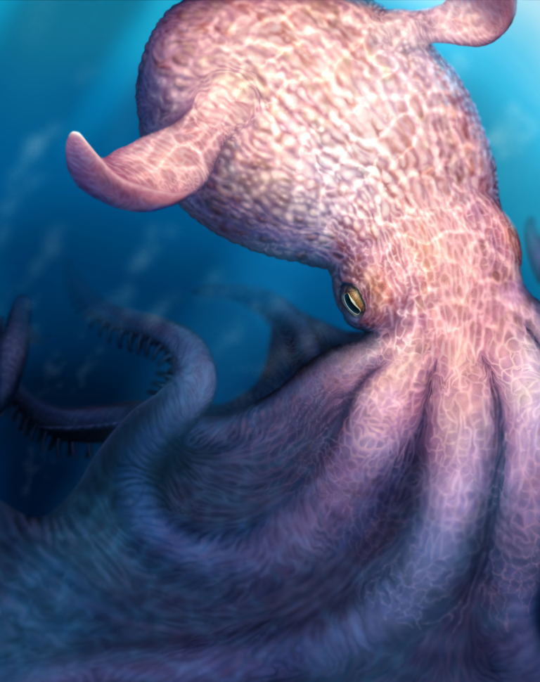 Giant Cretaceous Octopuses: Apex Predators of Ancient Seas, Study Suggests