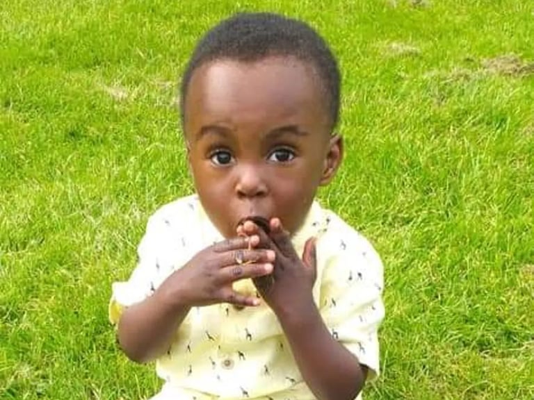 Awaab's Law: New Housing Safety Standards Combat Mould Hazards, Boost Tenant Rights