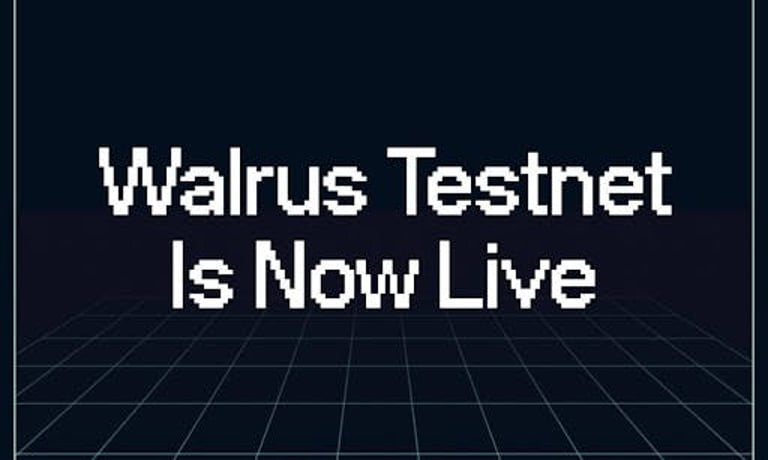 Mysten Labs Unveils Walrus Protocol Testnet for Decentralized Storage, Integrating Web2 and Web3 Data