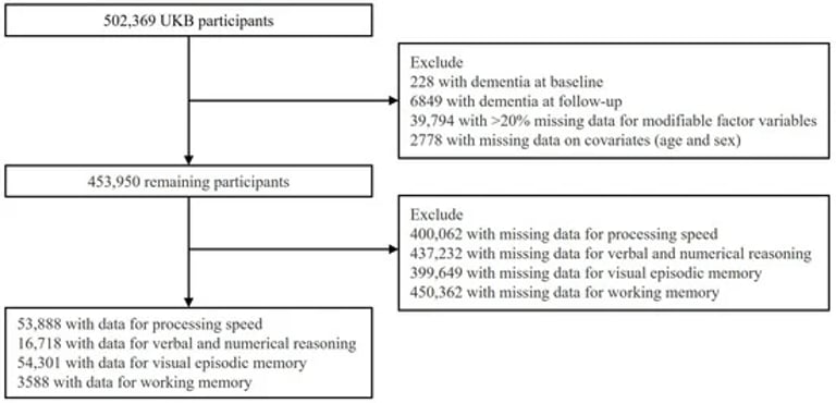 Study Identifies Key Modifiable Factors to Combat Cognitive Decline in Aging Population