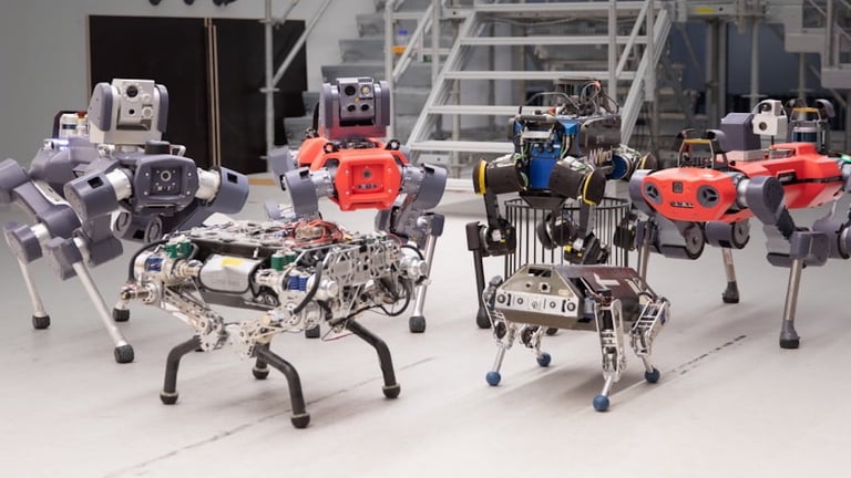 ANYbotics Opens San Francisco Office, Raises $60M to Boost AI-Driven Industrial Robots