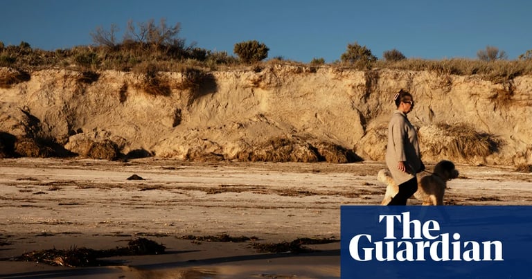 Historic Algal Bloom Devastates South Australian Coast, Threatening Ecosystems and Economy