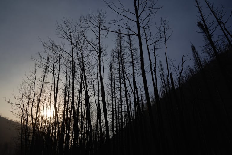 Utah's Cottonwood Fire Rages: Three Firefighters Dead, State Battles Unprecedented Wildfire Season