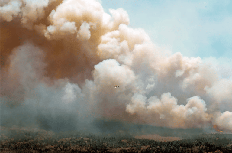 Wildfire Smoke Triggers Severe Air Quality Crisis and Cooling Effect in Northeastern US Megacities