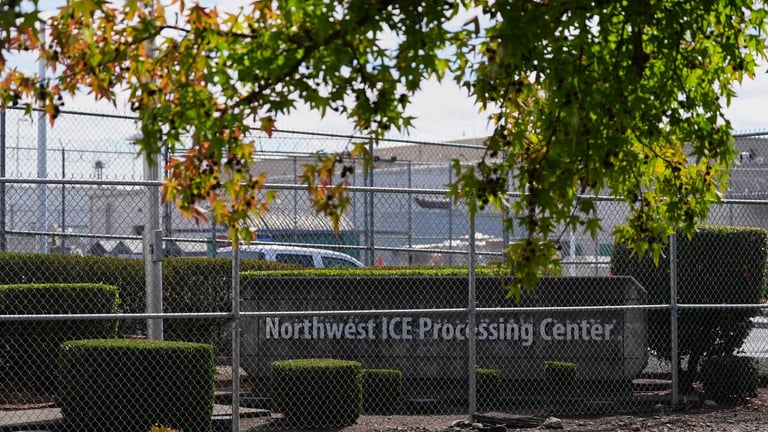 Migrant's Heartbreaking Deportation Highlights Flaws in US Immigration Enforcement Policies