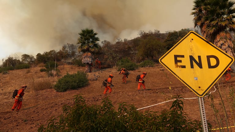 Couple's Home Narrowly Escapes Pacific Palisades Wildfire Amidst Mass Evacuations and Devastation