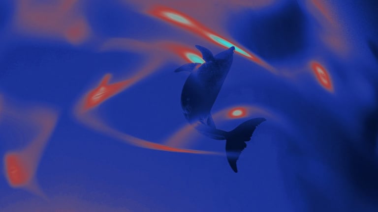 Bitcoin Whale Awakens: $188 Million BTC Moved After 7 Years, Market Awaits Next Move