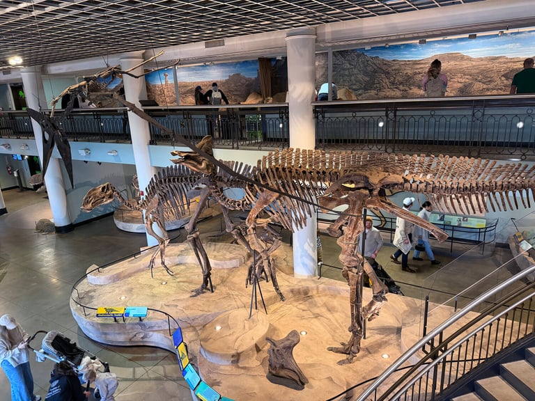 Philadelphia's Academy of Natural Sciences to Close Museum, Shifts Focus to Research and Education