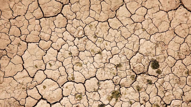England Faces Severe Drought Crisis: July 2026 on Track to Be Driest Month Ever