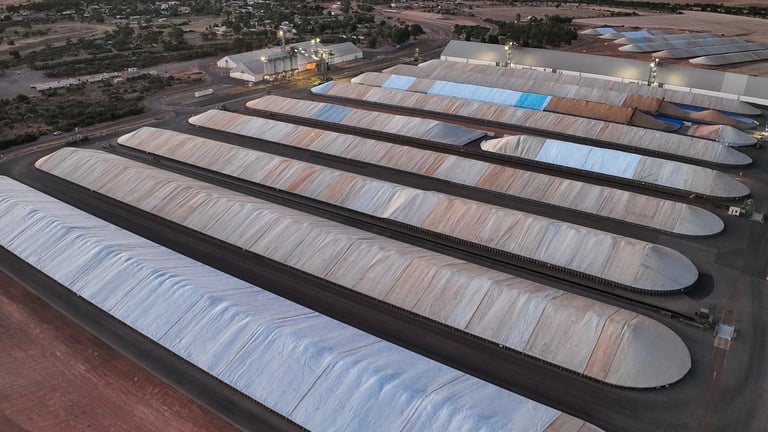 Western Australia's Record-Breaking Grain Harvest Surpasses 24 Million Tonnes, Geraldton Shines with 35% Increase