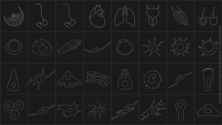 Breakthrough Human Skeletal Blueprint Unveiled: Major Leap in Cell Atlas Project