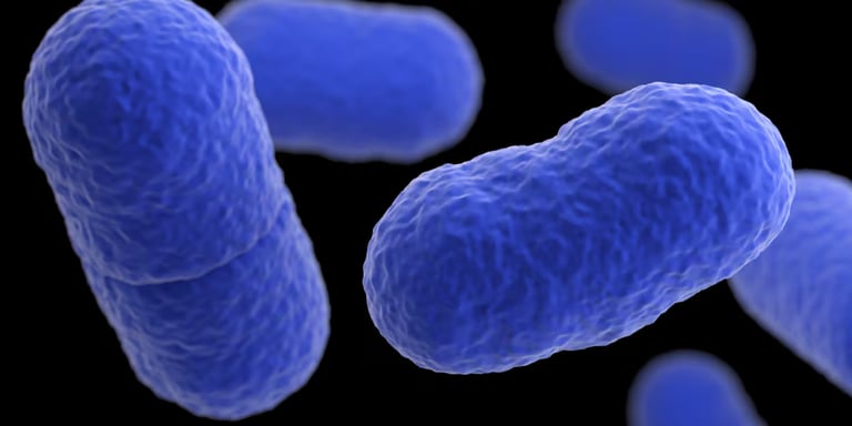 Listeria Outbreak Prompts Major Recall by Fresh & Ready Foods, 10 Hospitalized in CA and NV
