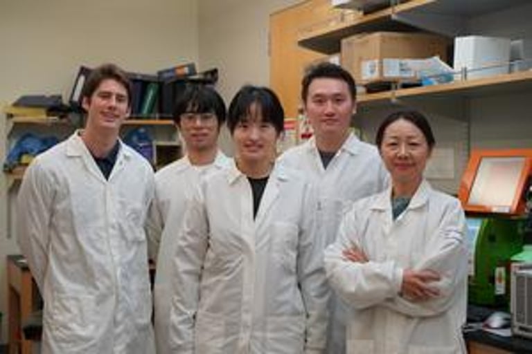 UCLA Study Finds 4-1BB CAR-NKT Cells Most Effective for Solid Tumor Treatment, Offers Off-the-Shelf Solution