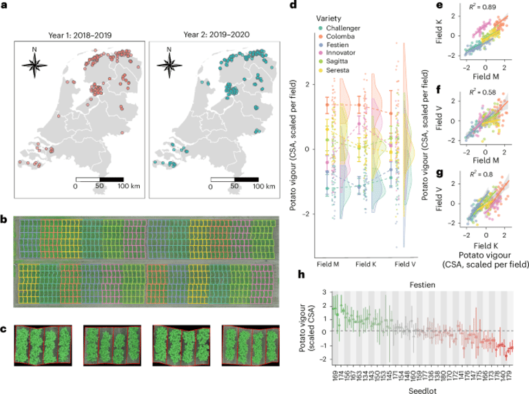 Potato Power: Unraveling the Microbiome's Role in Global Food Security