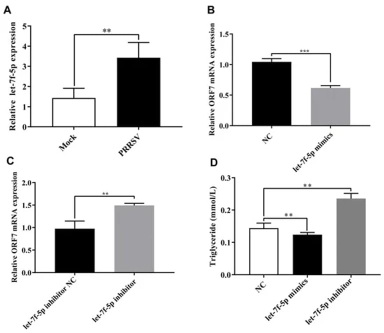 Breakthrough Study Identifies Key miRNA Targets to Combat Global PRRS Virus in Pigs