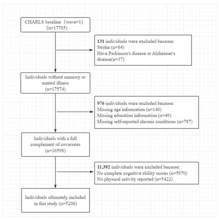 New Study: Brain Endurance Training Boosts Cognitive and Physical Health in Seniors