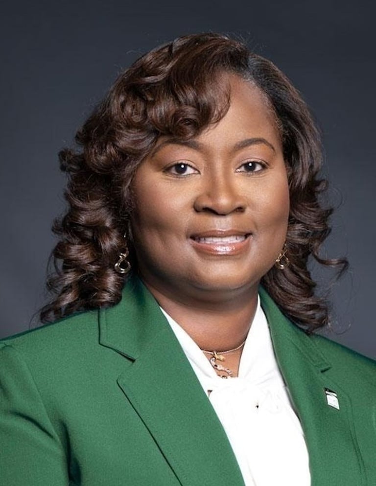 North Carolina Governor Launches AI Leadership Council to Guide State's AI Strategy and Growth