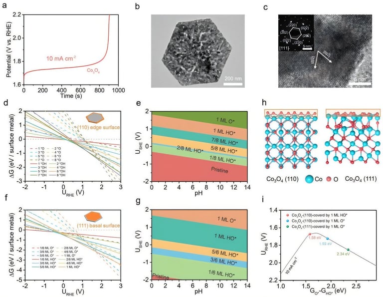Breakthrough Catalyst Design Enhances Cost-Effective Hydrogen Production via Water Electrolysis