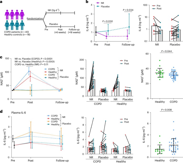 Vitamin B3 Shows Promise in Reducing Inflammation and Improving Life for COPD Patients