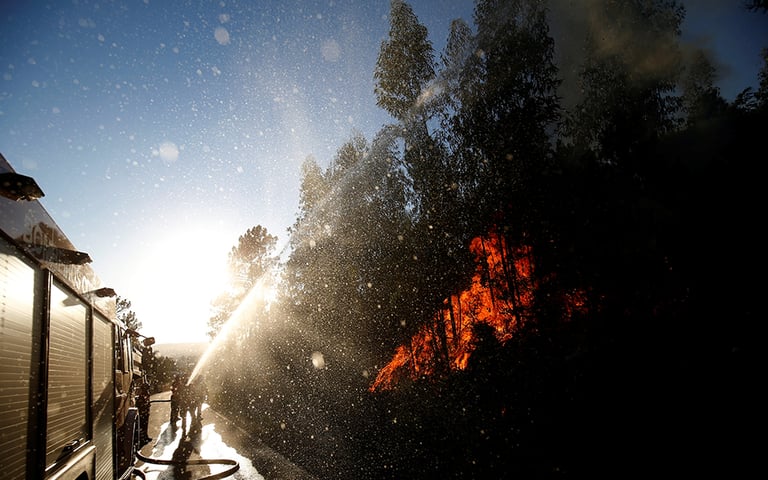 Europe's Record Heat Ignites €77 Billion Wildfire Crisis