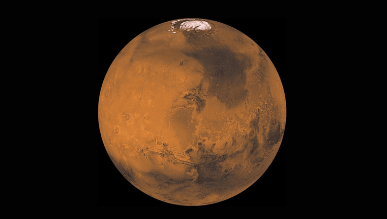 Could Martian Settlers Evolve into a New Human Species?