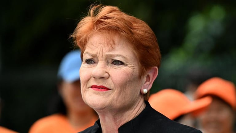 Court Rules Pauline Hanson's Tweet Racially Discriminatory, Sparking Debate on Free Speech and Racism