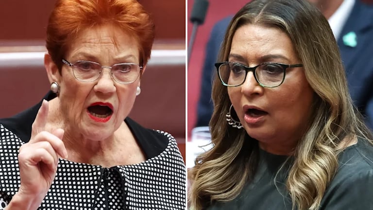 Federal Court Upholds Ruling: Pauline Hanson's Racist Tweet Violates Racial Discrimination Act